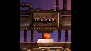 Tesla ‎– A Lot To Lose