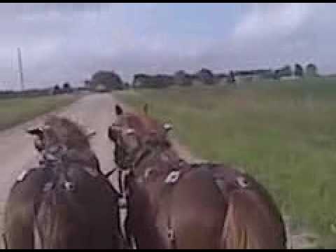 Back to the Lazy B Ranch