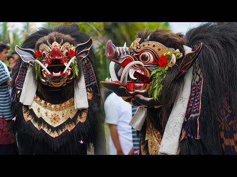 BARONG BANGKUNG TAKSU AGUNG COME DOWN THE MOUNTAIN, MANY ARE NGUPAH