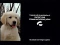 Metro Goldwyn Mayer Closing 1997 2001