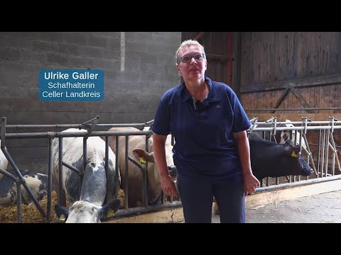 Wölfe ohne Grenzen - KLARTEXT Ulrike Galler