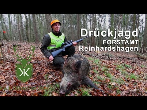 Drückjagd im Forstamt Reinhardshagen K&K Premium Jagd