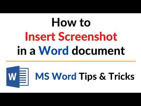Top 25 Microsoft Word Tips and Tricks