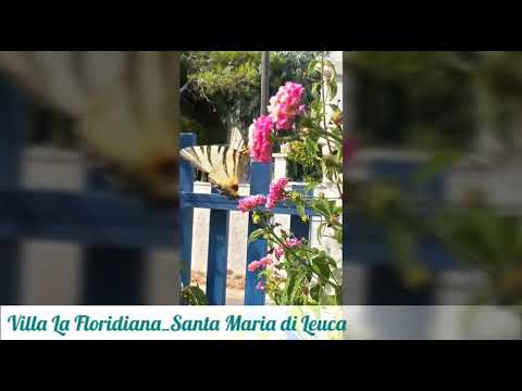 Casa vacanza in Salento - Puglia - Villa la Floridiana