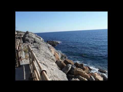 LE SCOGLIERE DI CERVO LIGURE DALLA VECCHIA FERROVIA