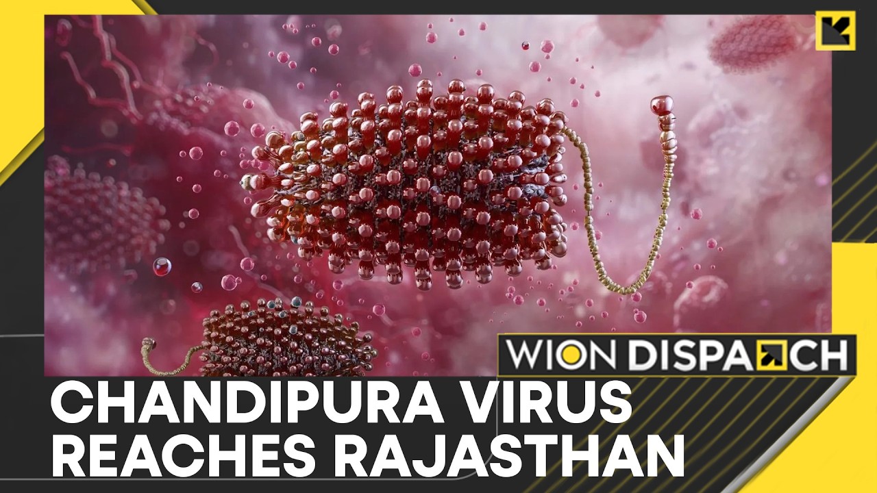 Rajasthan Chandipura Virus Scare | Gujarat: 22 Kids Die from Chandipura Virus | WION Dispatch