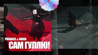 Cover art for PROBASS ∆ HARDI - САМ ГУЛЯЮ!