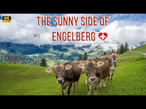 Most beautiful places in Switzerland - Engelberg Brunni 4K