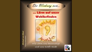 Kapitel 5.4 - Die Wirkung von Lärm auf unser Wohlbefinden