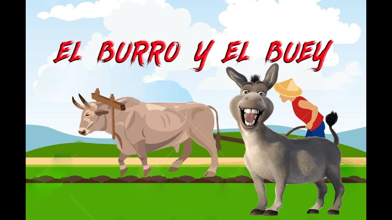 EL BURRO Y EL BUEY