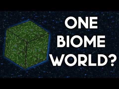 Minecraft World With ONE Biome?