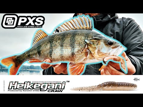 Mit Krebs auf Barsch? So gehts!!! PXS Heikegani Craw