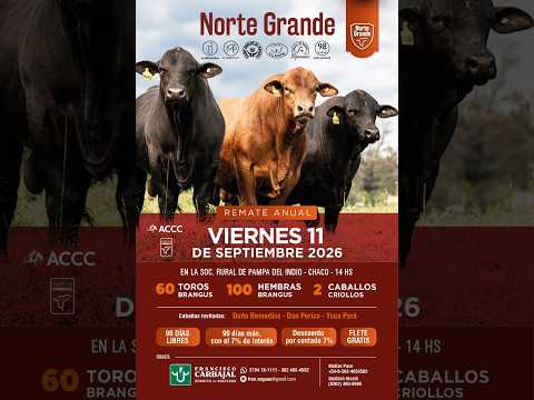 REMATE ANUAL NORTE GRANDE SOC. RURAL DE PAMPA DEL INDIO - CHACO