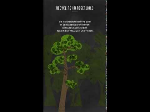 Der Nährstoffkreislauf im REGENWALD