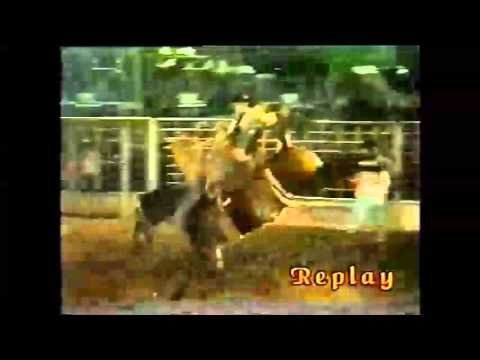 Campeão de rodeio Edivar Alves (Musambinho-MG) 1999