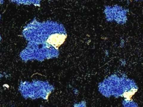 YREF 'Wüste Mark I'