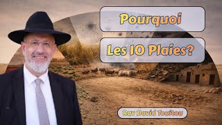 Pourquoi les 10 plaies?