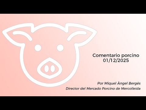 Comentario porcino - 01/12/2025
