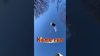 Download lagu Buffalo Wings!?! mp3 Download lagu Buffalo Wings!?! mp3