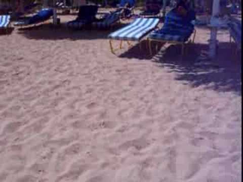 Hilton Sharm Dreams Resort Beach