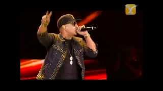 Daddy Yankee, Pose, Festival de Viña 2013
