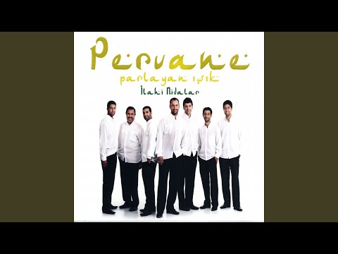 Sordum Sarı Çiçek