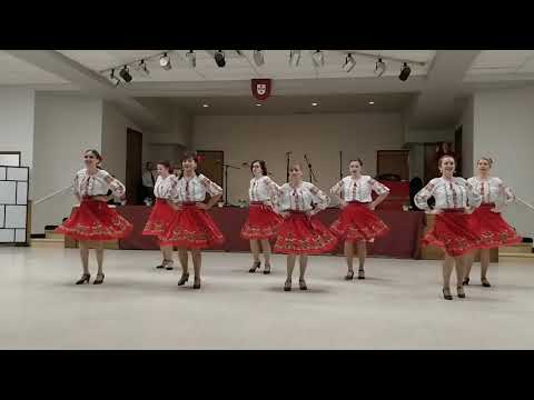 Ansamblul Doina Calgary - Hora din Moldova - @Nashency Group Celebration Party Calgary 23 March 2019