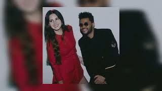 Reminder - The Weekend (Spedup)