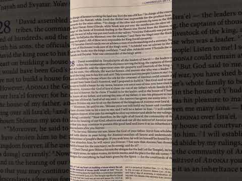 1 Chronicles (Divrei-HaYamim Alef) 28 | Tanakh/Old Testament | Audio Bible | CJB | CompleteJewishBib