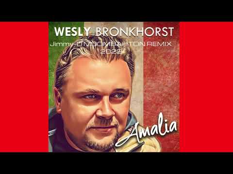 wesly bronkhorst - Amalia  (Jimmy-D Moombahton Remix 2022)
