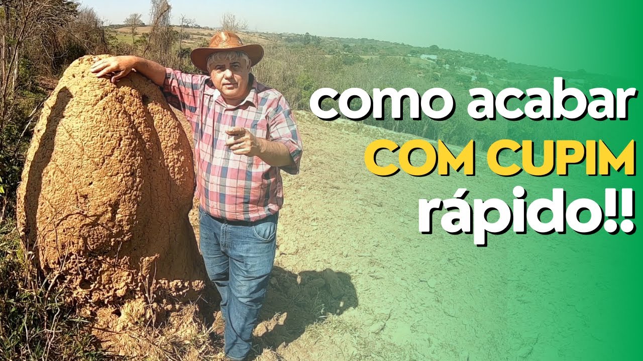 How to Control and Destroy Termites in Pasture! Episode #048