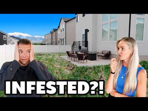 Our Home Is INFESTED…This Is NOT the Backyard We Left! It’s Much Worse Than We Thought