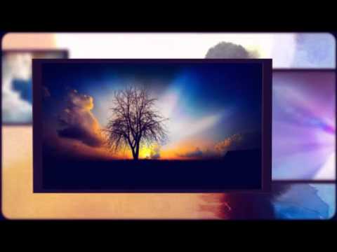 COLORI - Celestina Musiani