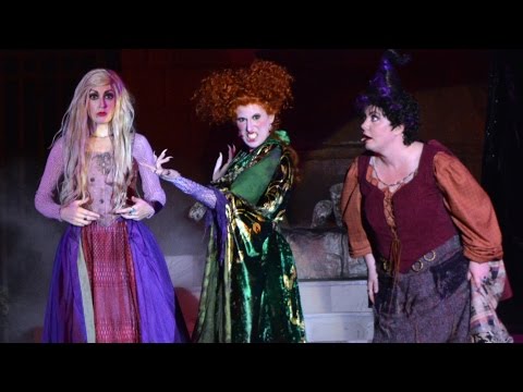 download lagu mp3 mp4 Hocus Pocus Steady, download lagu Hocus Pocus Steady gratis, unduh video klip Hocus Pocus Steady
