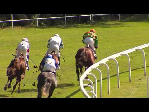 BA 24.06.2017 - Dostihy 5 - memoriál majora Stanislava Rudu