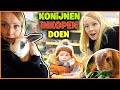 ONZE KONiJNEN HEBBEN HET KOUD! KONIJNENVERBLiJF UPDATE!  ? | Bellinga Vlog #2676