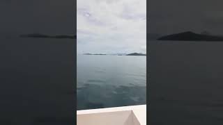 Download lagu wulan  guritno  (bikini liburan  d ntt mp3