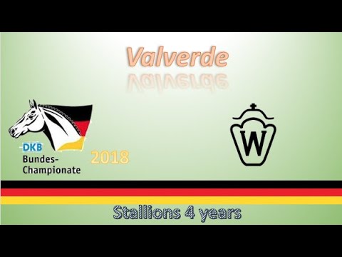 Valverde @ Bucha 2018 Staillions 4 Years