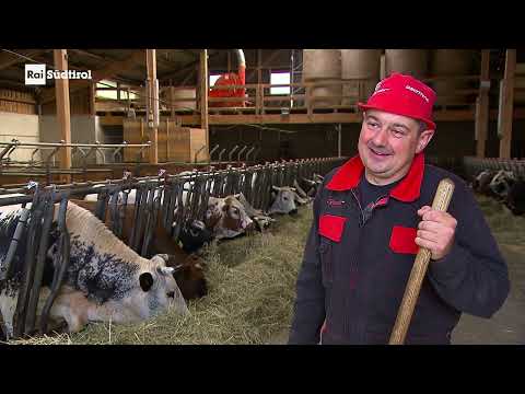 RAI Land&Leben – Sendung vom 25. Juni 2025