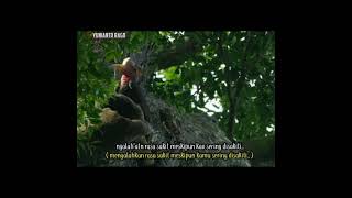 Download lagu Story wa dayak kanayatn terbaru 2021, keren motivasi kehidupan #Shorts mp3