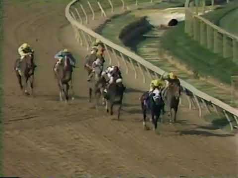 Pimlico Special - 1991 - D. Wayne Lukas - Farma Way - Summer Squall - Jolie's Halo - Baltimore, MD.