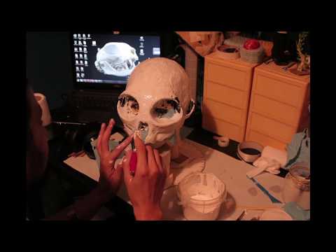 The Making of Cat Skull Mask no.5