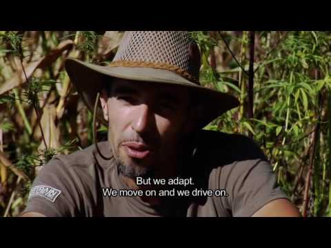 Strain Hunters - India Expedition!