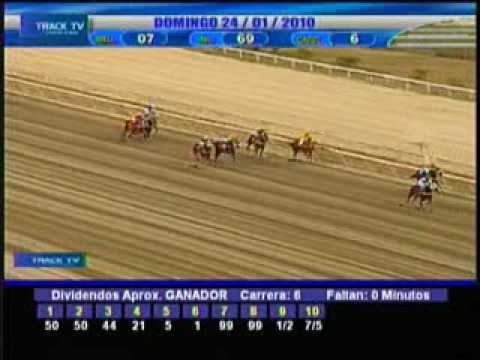 Resumen domingo 24 de Enero 2010 - La Rinconada
