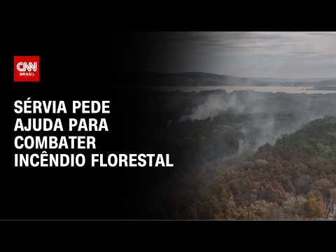 IMAGENS: Incêndio florestal na Sérvia mobiliza bombeiros da União Europeia e até avião russo