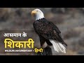 Sky Hunter - हिन्दी डॉक्यूमेंट्री | Wildlife documentary in Hindi
