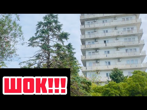 Абхазия, Пицунда Питиус, Литфонд- вот это я отдохнула!Я в шоке!