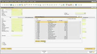 SAP-Business-One-Fenster – eine Einführung (3/6) SAP-Business-One-Fenster – eine Einführung (3/6)