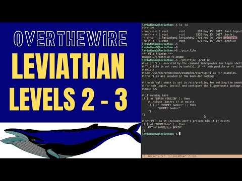 OverTheWire: Leviathan Walkthrough: Levels 2 - 3 (gdb and chaining commands)