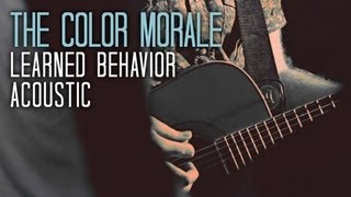 THE COLOR MORALE - Learned Behavior (Official Live Acoustic Video)